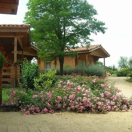 Auberge Du Flambadou Villematier Esterno foto